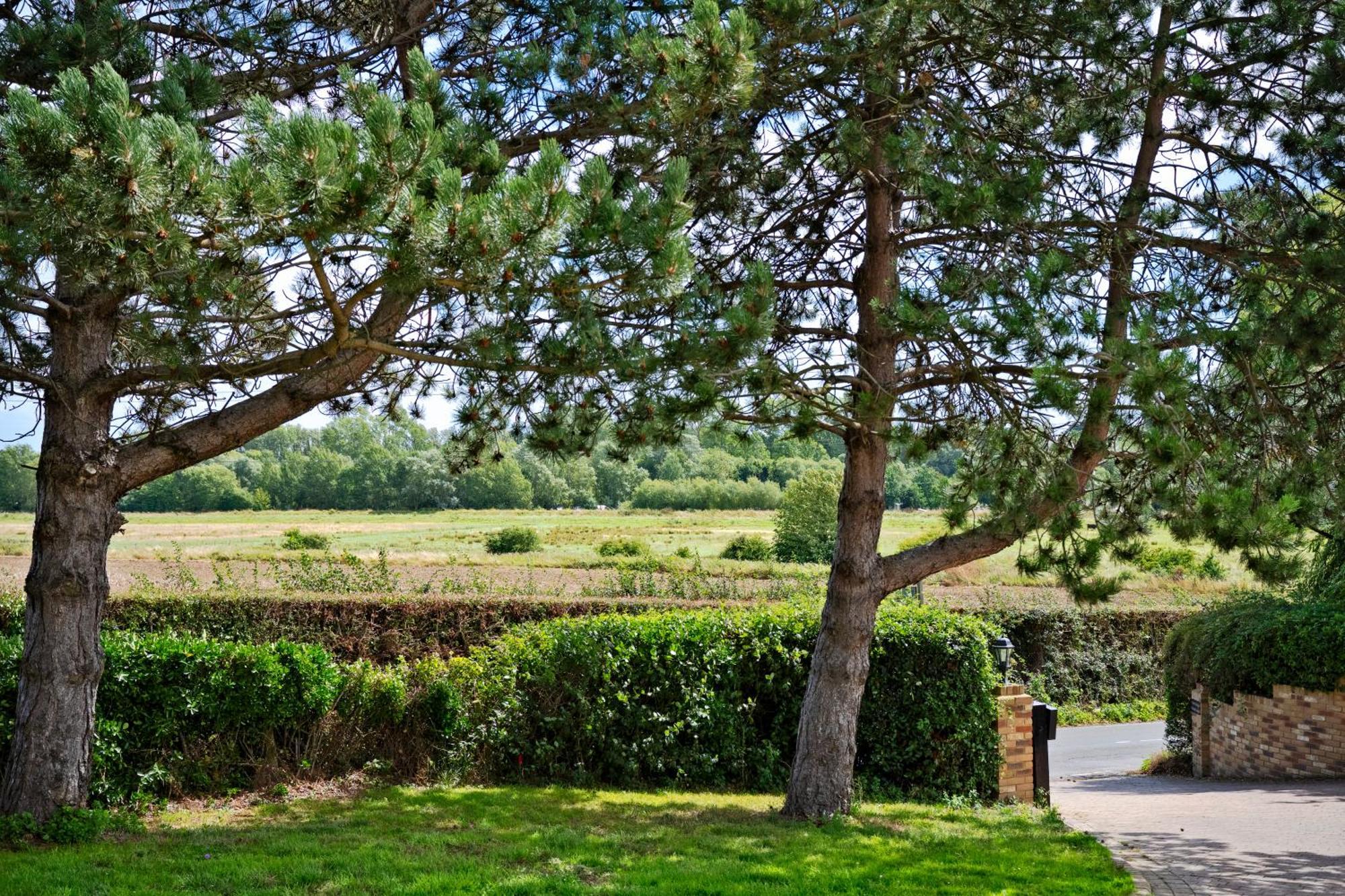Owlet Lodge Chislet エクステリア 写真